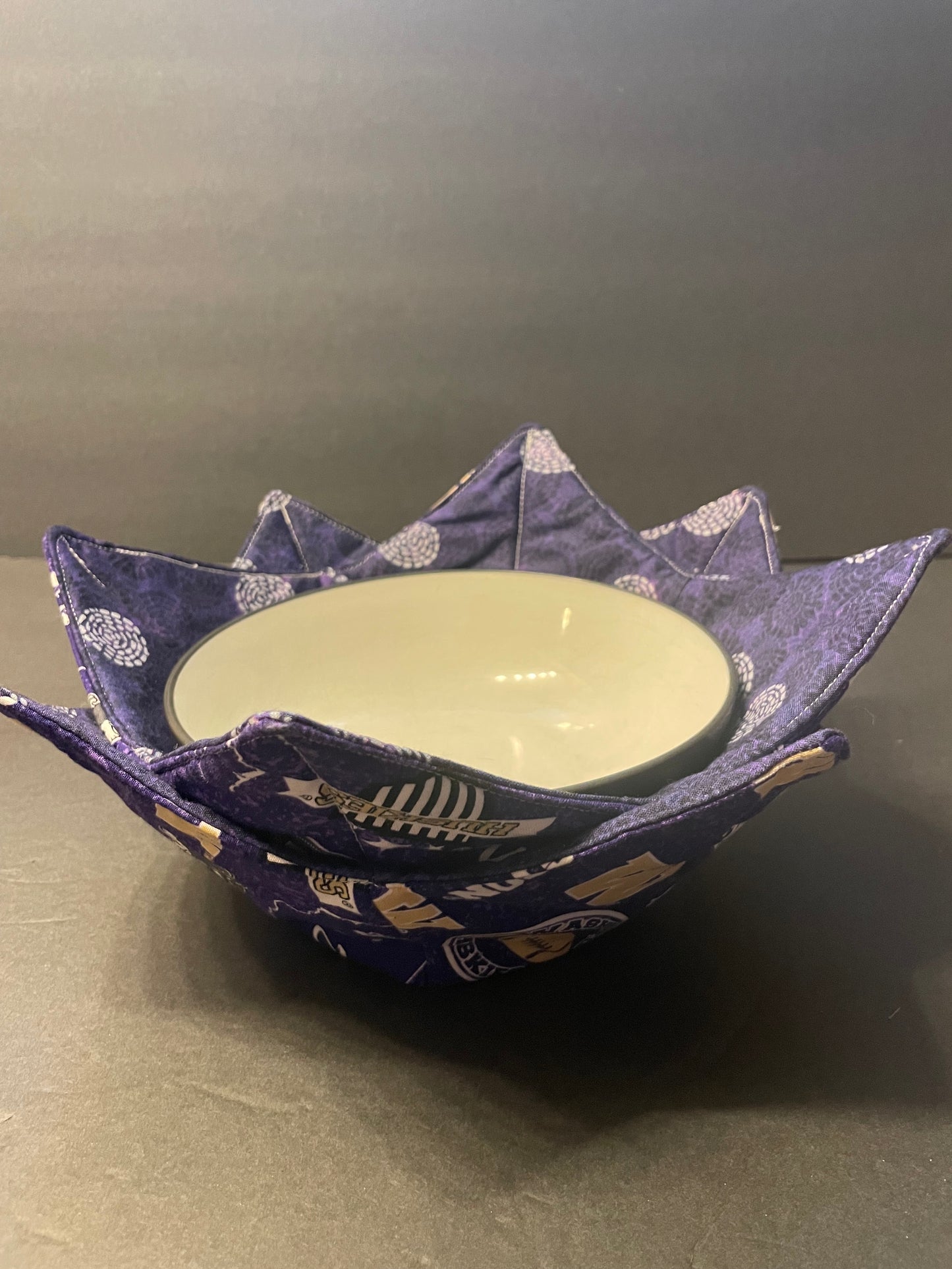 UW Huskies Bowl Cozy with Purple Circles