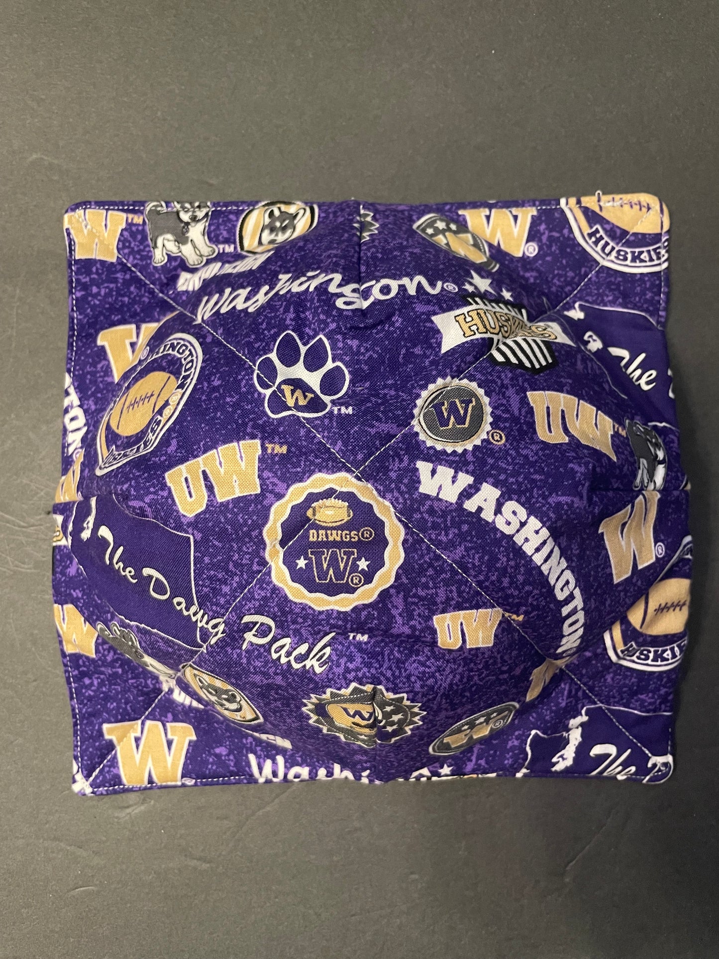 UW Huskies Bowl Cozy with Purple Circles