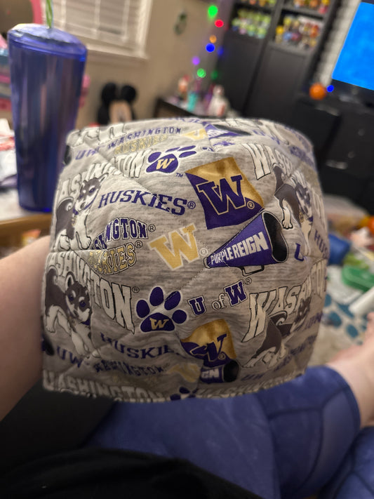 UW Bowl Cozy - Grey Background and Purple Inside