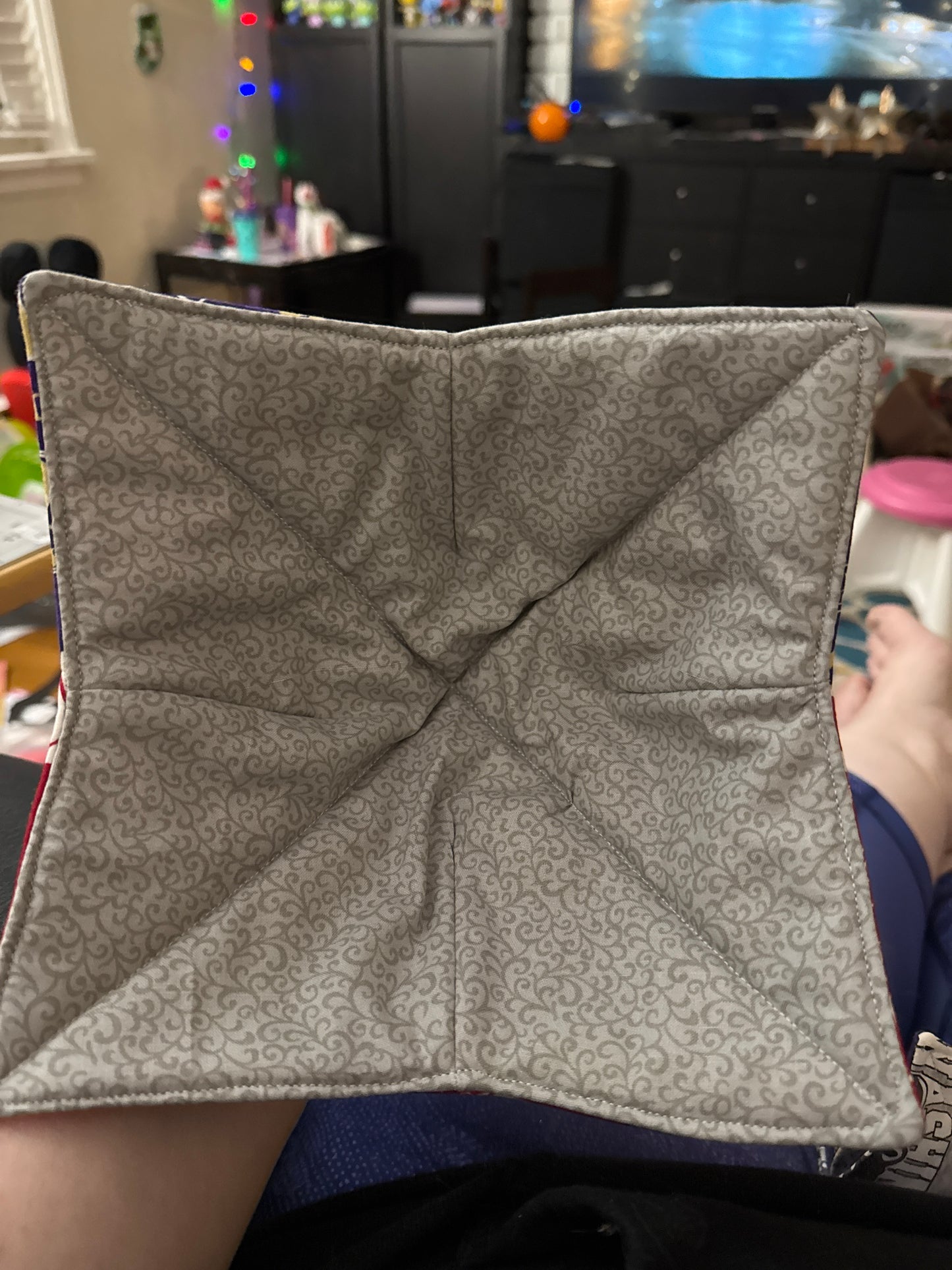 House Divided - UW and WSU Bowl Cozy