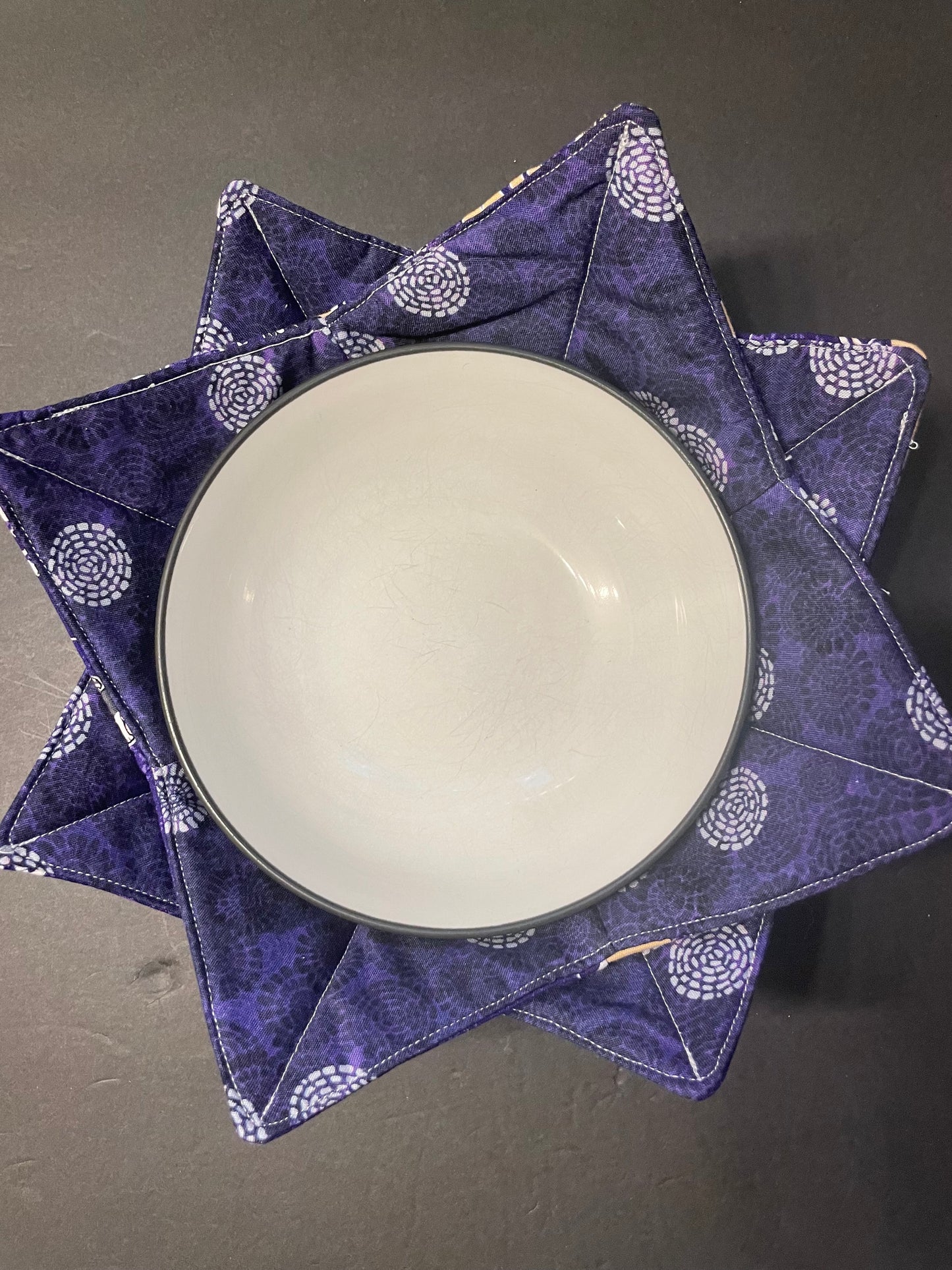 UW Huskies Bowl Cozy with Purple Circles